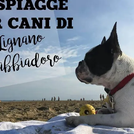 Hotel Nuova Graziosa 3*