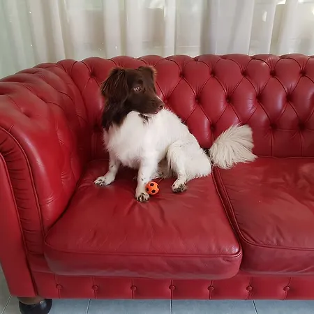 Nuova Graziosa 3*